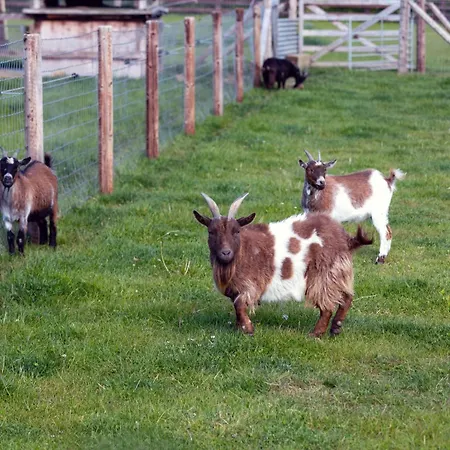 Πανσιόν Hidden Acres