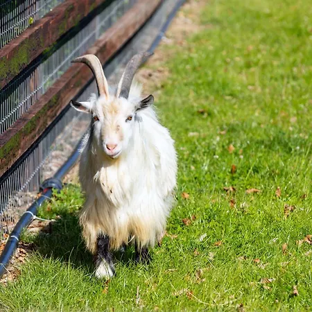 Гостевой дом Hidden Acres