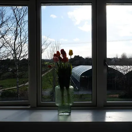 Hidden Acres Πανσιόν Malahide