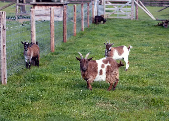 Gæstehus Hidden Acres