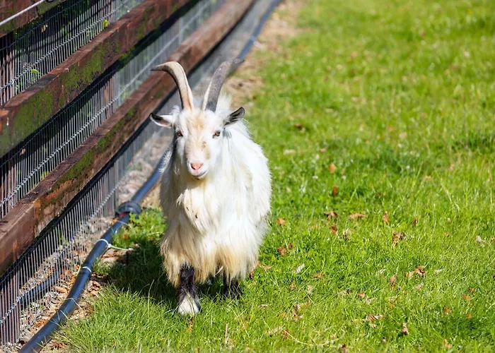 Gæstehus Hidden Acres