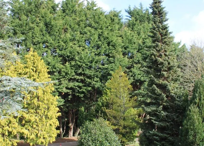 Gæstehus Hidden Acres Malahide